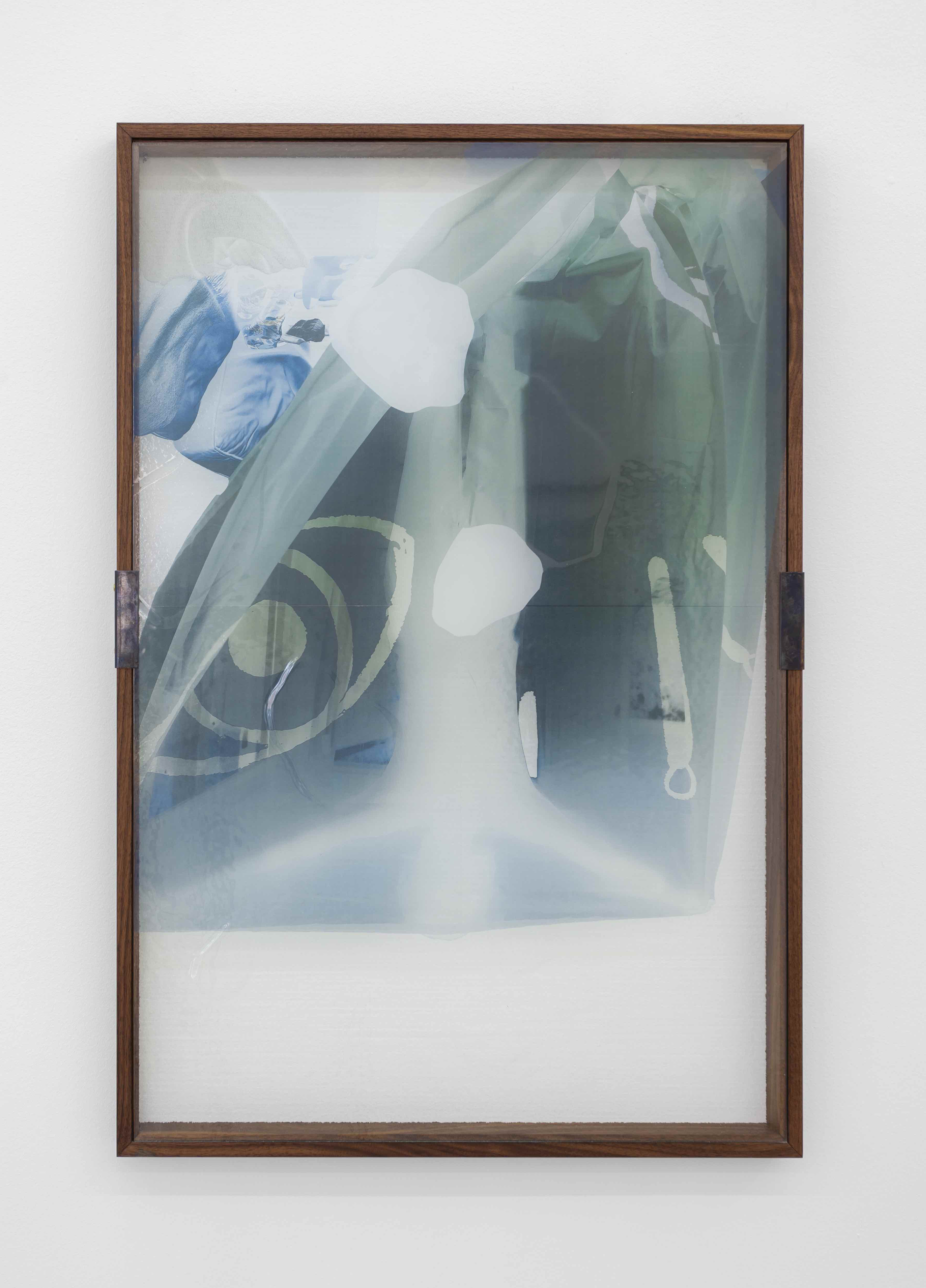 The Inverted Image (Felia, Herlev), 2020