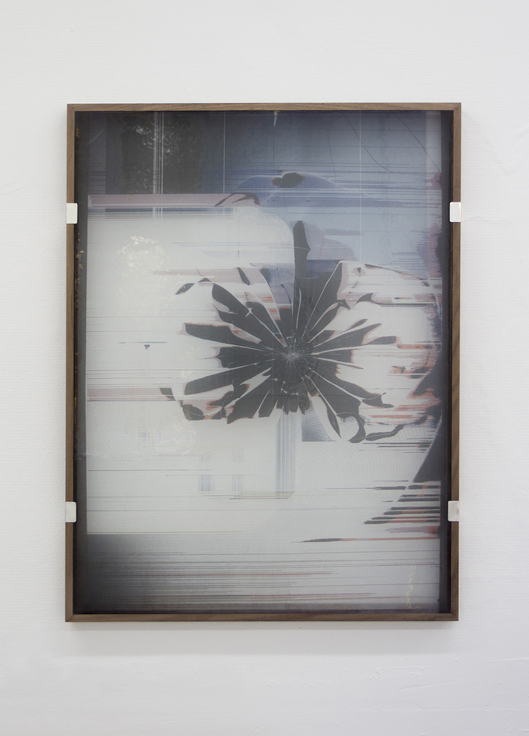 Broken Screen, 2018
