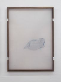 Or Other Transparent Bodies, 2018