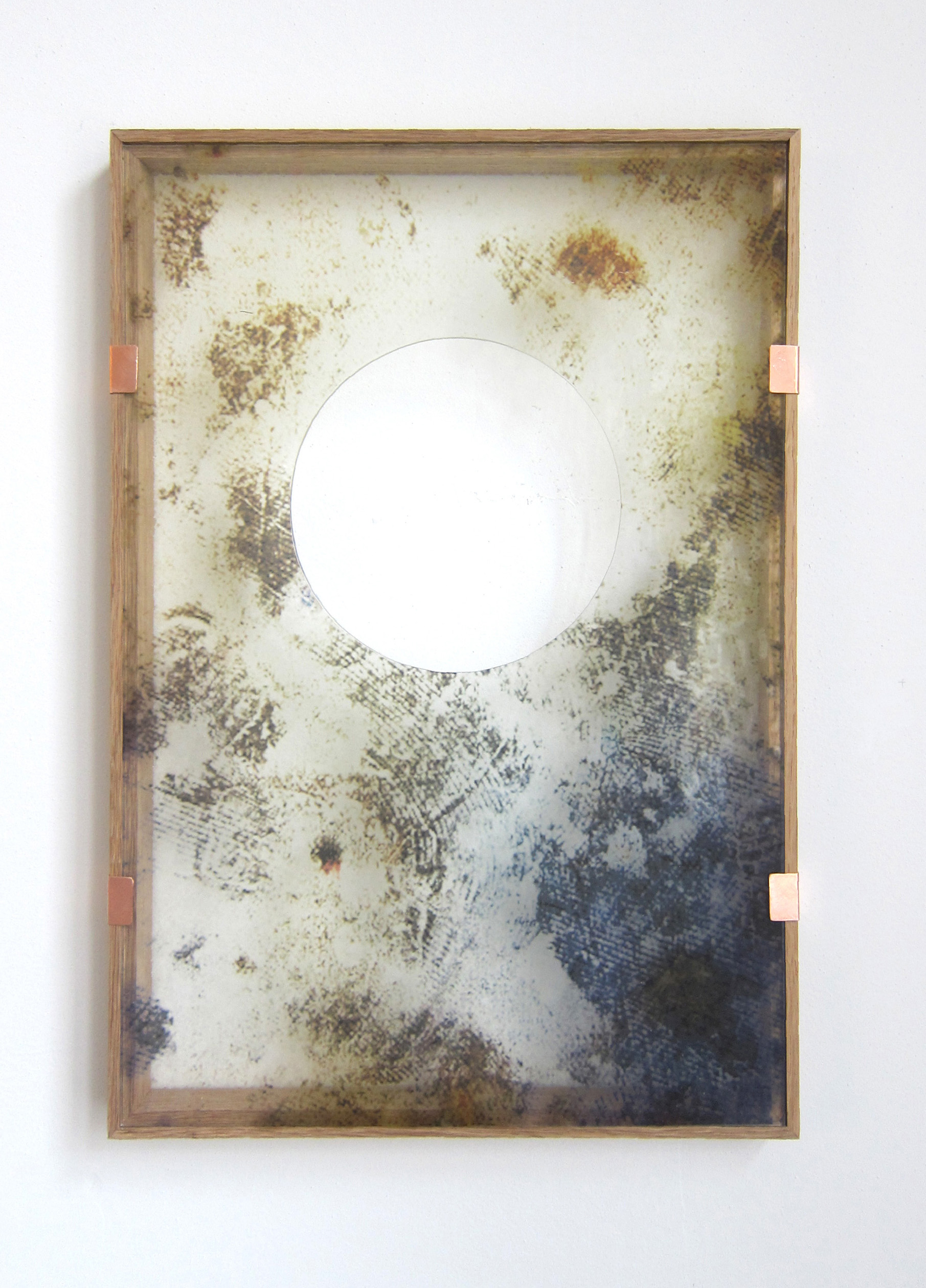 Worm # 7, 2016