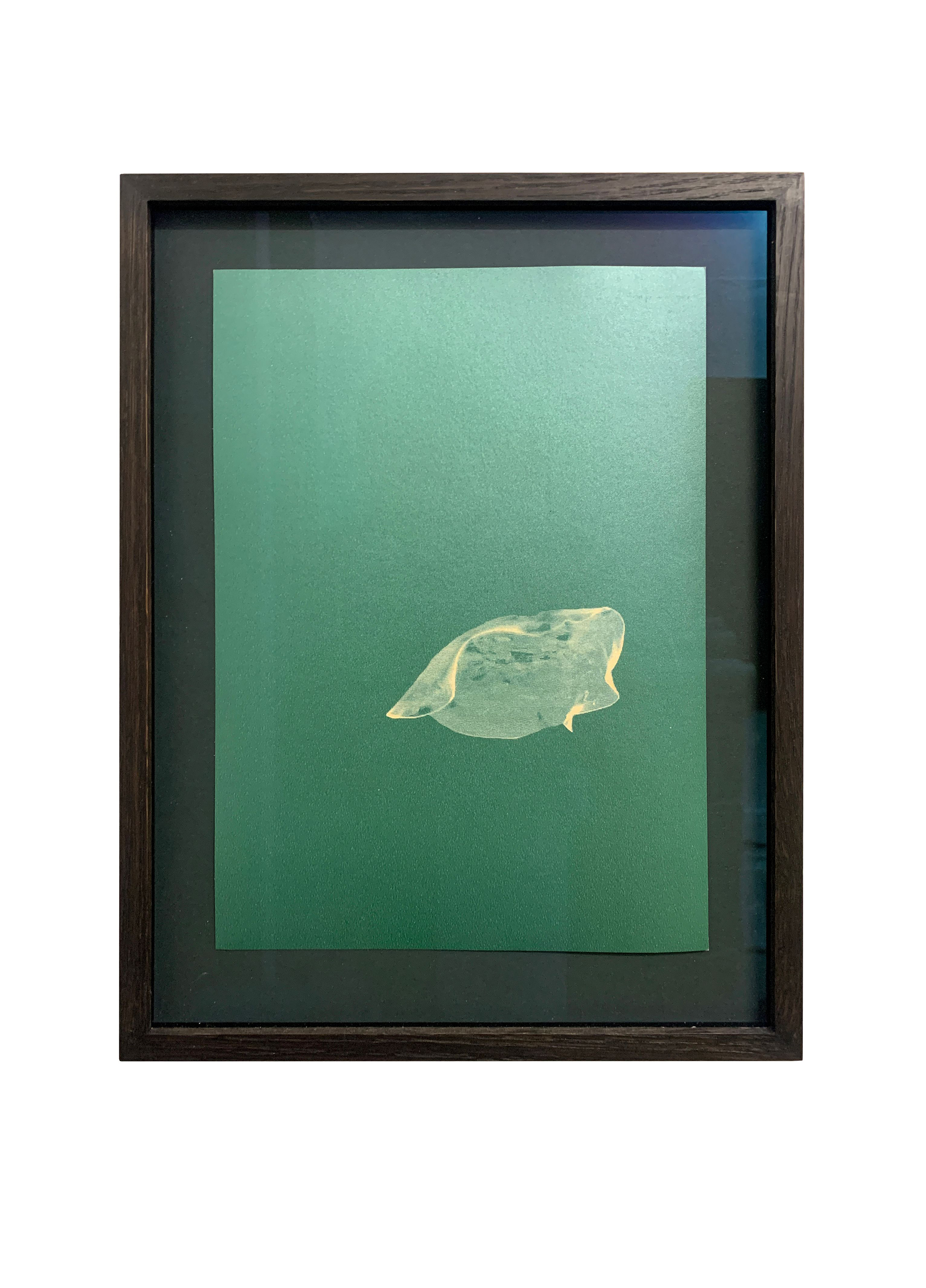 Or other transparent bodies (green), 2017-18
