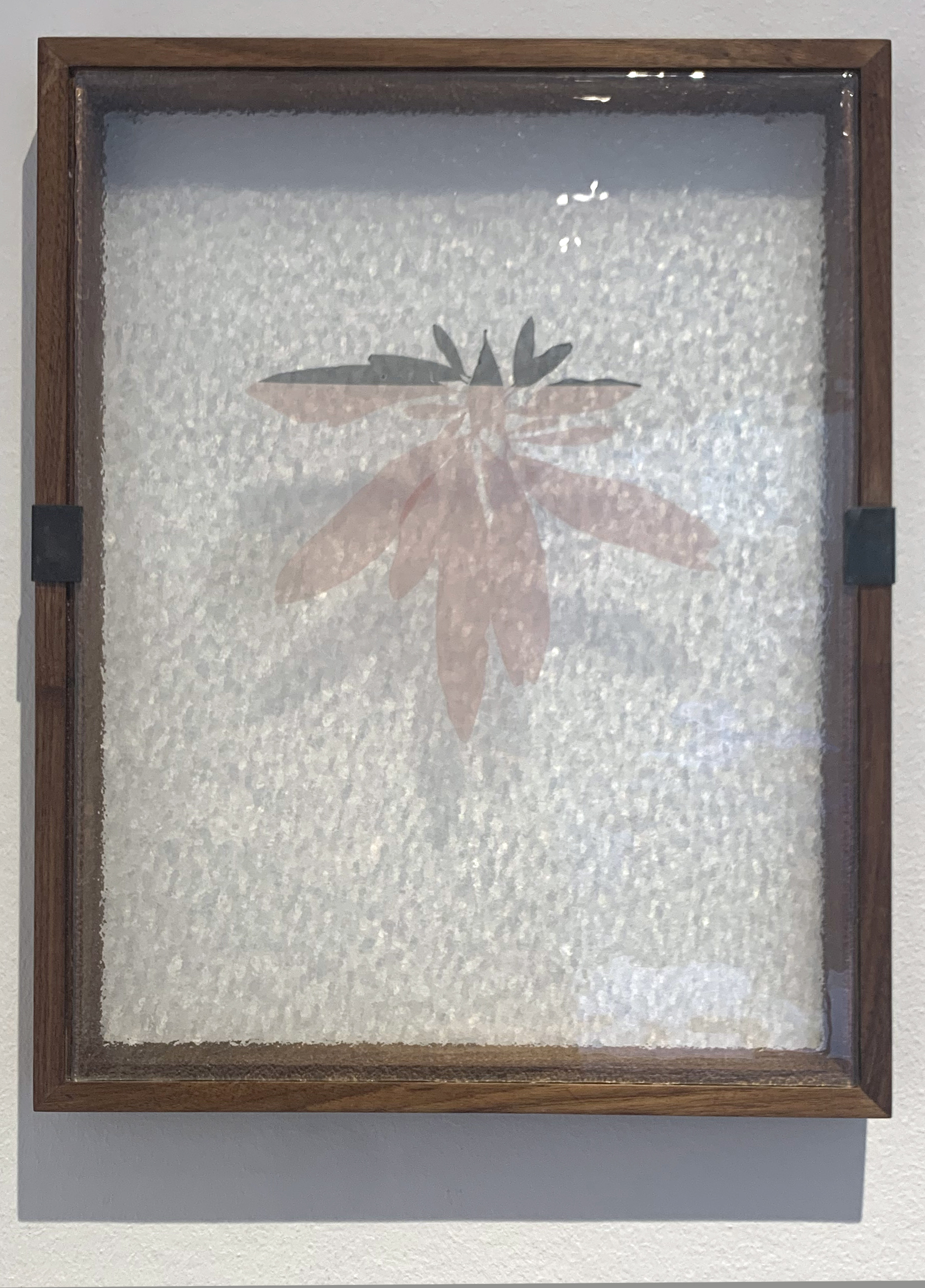 Søl, 20